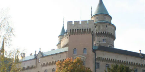 Dizajn bez názvu (2)
