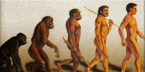 Dizajn bez názvu (13)