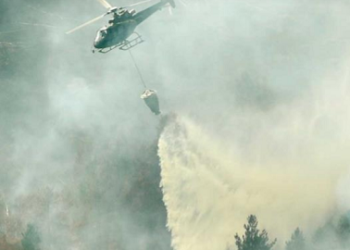 Suecia busca asistencia extranjera para combatir incendios forestales