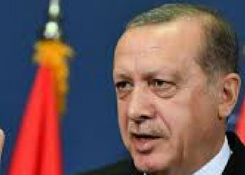 Turquía presenta  plan económico para frenar el desplome de la lira