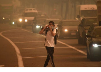 La exposición crónica a la contaminación del aire puede causar daños al rendimiento cognitivo