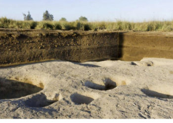 Arqueólogos en Egipto descubrieron los restos de una antigua aldea anterior a la era de los faraones