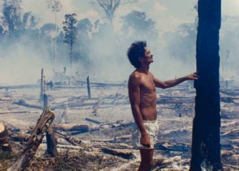 La deforestación de la selva amazónica en Brasil ha alcanzado su tasa más alta