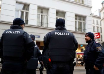 Disparo mortal en Viena vinculado a las guerras de la mafia en los Balcanes