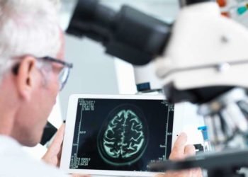Los científicos creen que han encontrado una cura para el cáncer