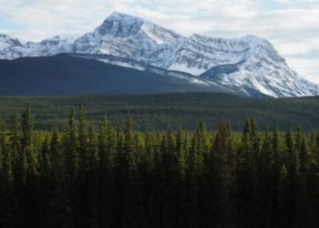 Los cuerpos de tres montañeros profesionales de renombre mundial fueron encontrados el domingo