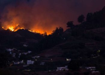 Alrededor de 8,000 personas han sido evacuadas por incendio forestal en Gran Canaria