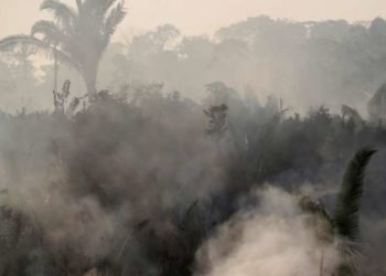 Fiscales federales en Brasil dijeron el jueves que investigarán  incendios forestales en el Amazonas
