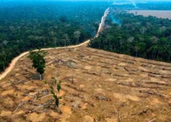 Brasil rechazó el lunes la ayuda de los países del G7 para combatir incendios forestales en la Amazonía
