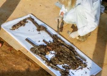 ADN para resolver el misterio del general de Napoleón perdido en Rusia