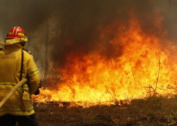 Los incendios forestales que arrasaron la costa este de Australia, dejaron tres muertos, heridos y varios desaparecidos