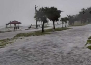 Ida: quinto huracán más fuerte que jamás haya azotado EE. UU.