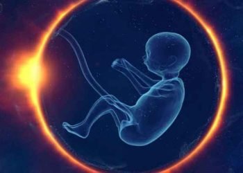 Corte Suprema de Estados Unidos podría anular el derecho al aborto, sugiere una filtración