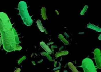 Brote altamente inusual de viruela símica preocupa a los expertos de salud