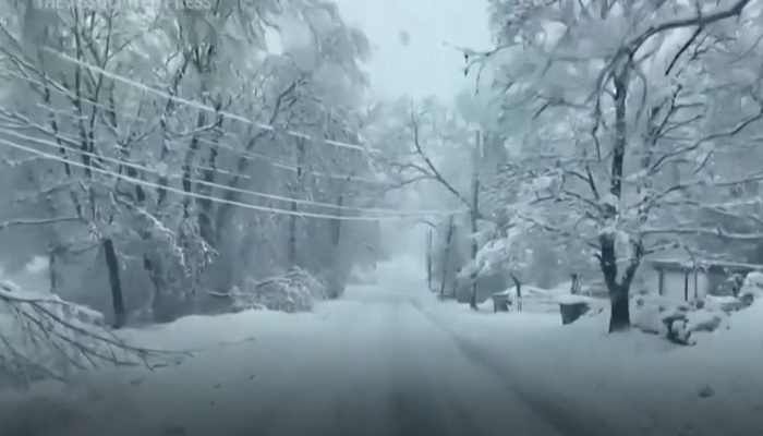 Tormenta invernal deja sin electricidad a miles en el Noreste de Estados Unidos