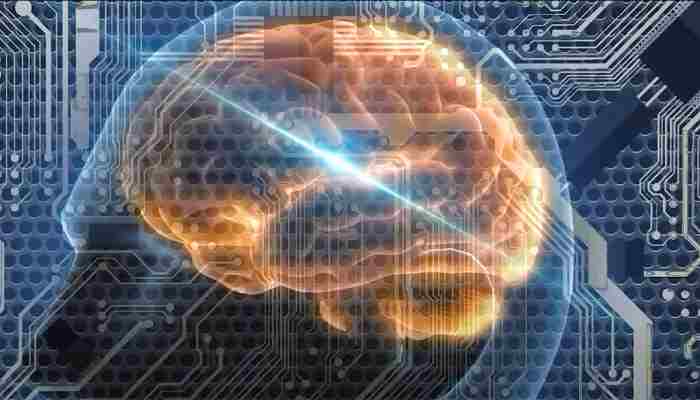 Científicos reciben fondos para fusionar células cerebrales humanas con IA
