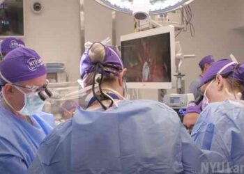 Cirujanos estadounidenses realizan el primer trasplante de ojo del mundo
