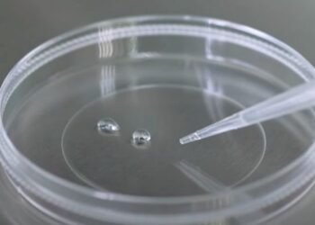 El controvertido fallo de la Corte Suprema de Alabama sobre embriones de fertilización in vitro: implicaciones legales, éticas y prácticas