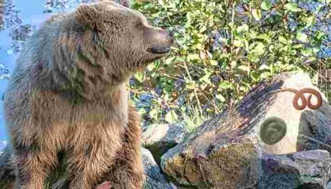 Una reunión familiar, un oso y un gusano devorador de cerebros en Dakota del Sur