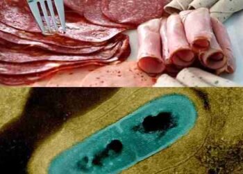 Un brote de listeria vinculado a los embutidos de Boar’s Head se extiende por todo Estados Unidos