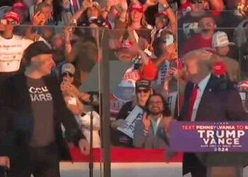 Polémico sorteo diario de un millón de dólares de Elon Musk a votantes genera escrutinio legal