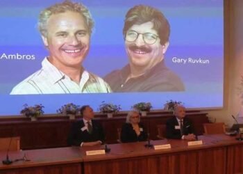 La revolución del microARN: Ambros y Ruvkun reciben el Premio Nobel por el descubrimiento del microARN