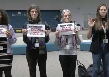 Acuerdo de financiación climática de la COP29: ¿un “anticipo” hacia un futuro más seguro?