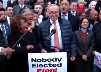 Temores de violación de datos: cómo DOGE de Elon Musk obtuvo acceso a sistemas confidenciales de EE. UU.