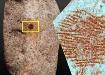 Un guijarro antiguo con una huella dactilar y un punto rojo demuestra que los neandertales tenían mentes simbólicas