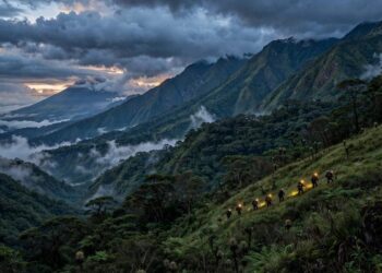 Tragedia en Colombia: Al menos 14 personas fallecen tras un derrumbe en una mina de oro ilegal en Nariño